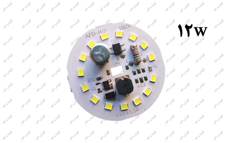 DOB12w